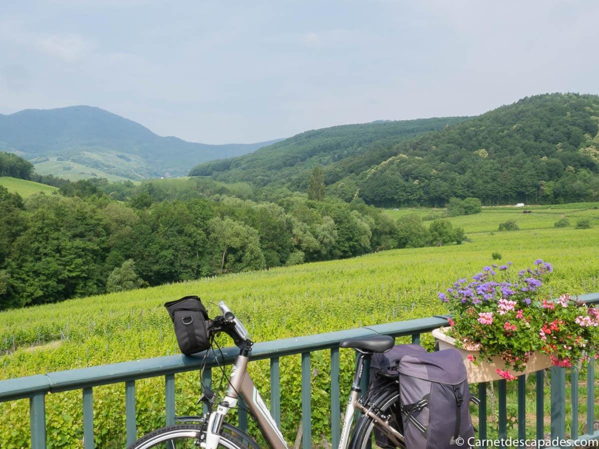 Coeur D'Alsace Colmar Vignobles Ouest Avec Terrasses Villa Wintzenheim Exteriör bild