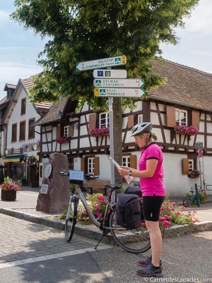 Coeur D'Alsace Colmar Vignobles Ouest Avec Terrasses Villa Wintzenheim Exteriör bild