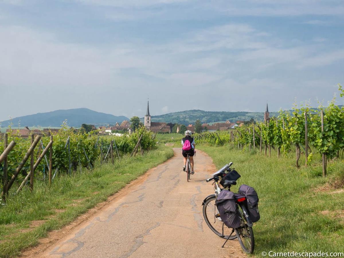 Coeur D'Alsace Colmar Vignobles Ouest Avec Terrasses Villa Wintzenheim Exteriör bild