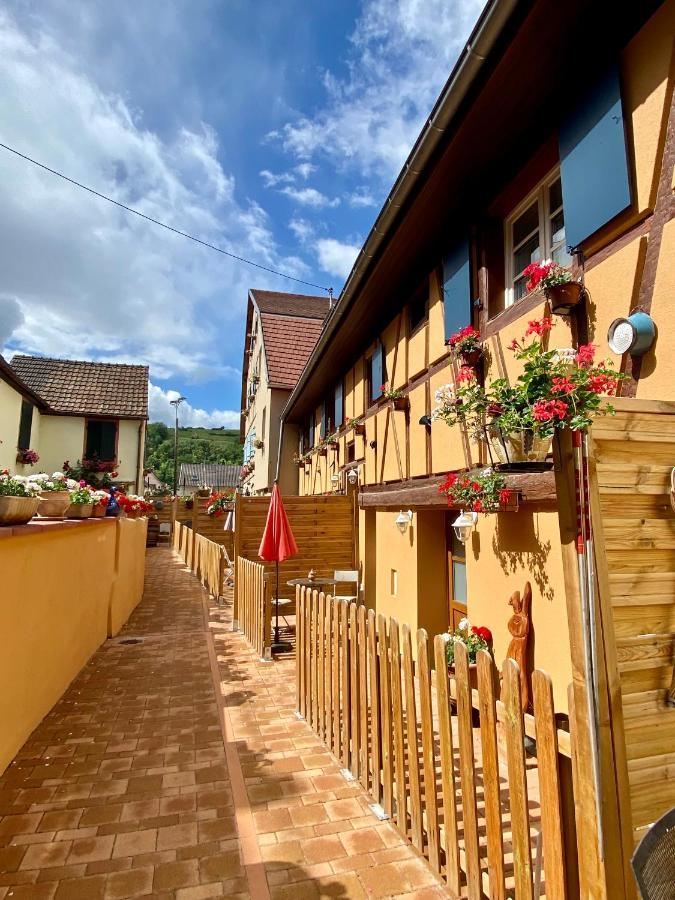 Coeur D'Alsace Colmar Vignobles Ouest Avec Terrasses Villa Wintzenheim Exteriör bild