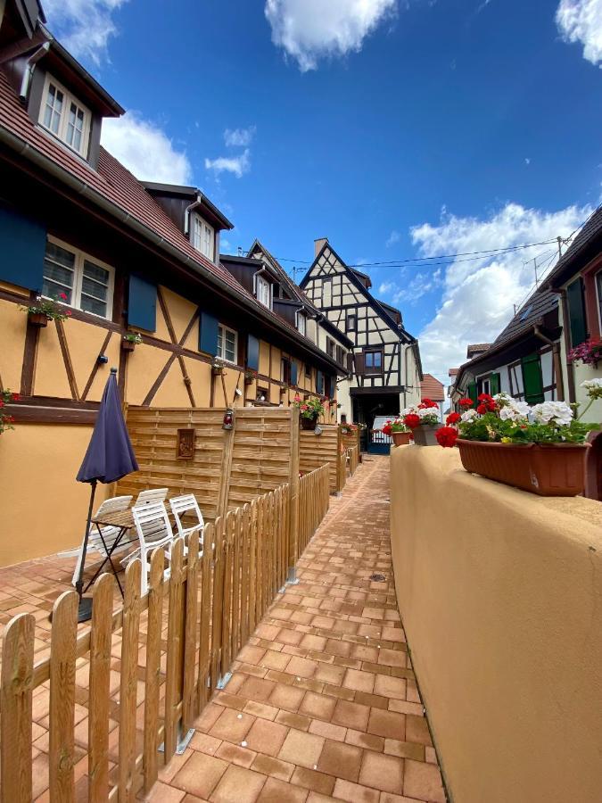 Coeur D'Alsace Colmar Vignobles Ouest Avec Terrasses Villa Wintzenheim Exteriör bild