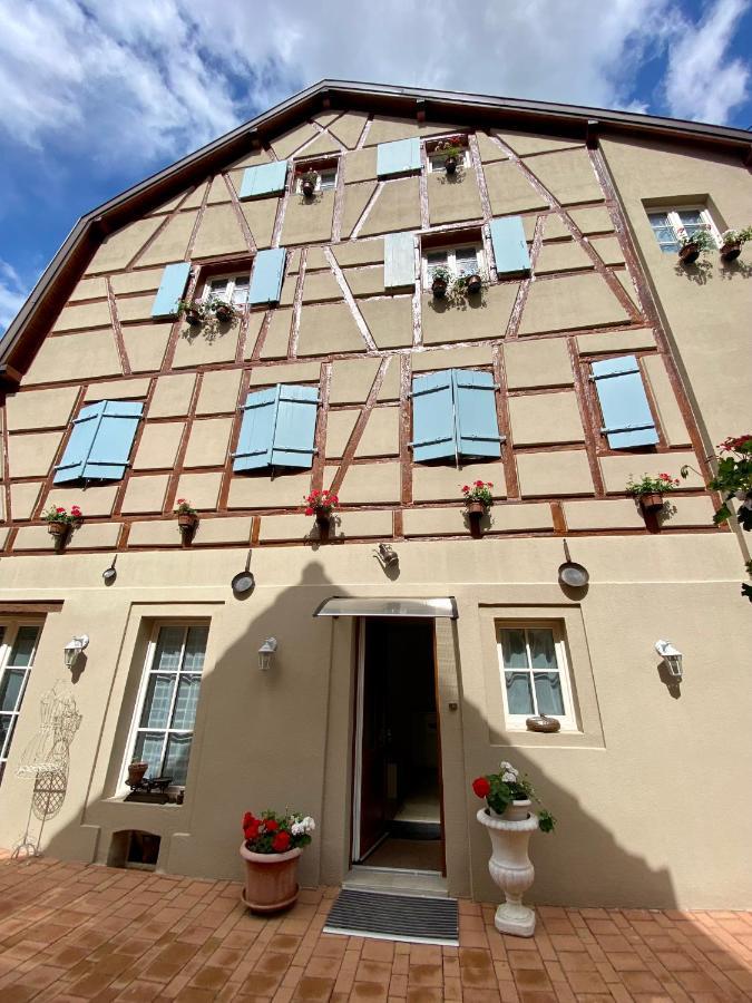 Coeur D'Alsace Colmar Vignobles Ouest Avec Terrasses Villa Wintzenheim Exteriör bild