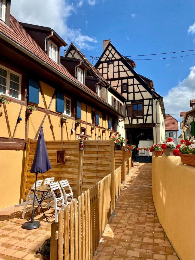 Coeur D'Alsace Colmar Vignobles Ouest Avec Terrasses Villa Wintzenheim Exteriör bild