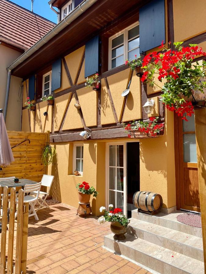 Coeur D'Alsace Colmar Vignobles Ouest Avec Terrasses Villa Wintzenheim Exteriör bild