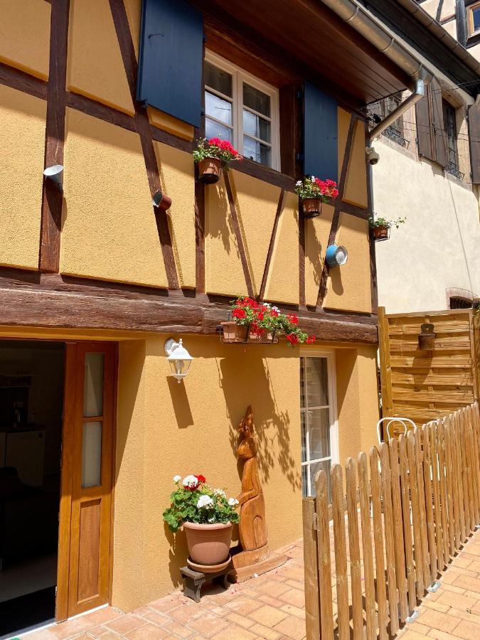 Coeur D'Alsace Colmar Vignobles Ouest Avec Terrasses Villa Wintzenheim Exteriör bild