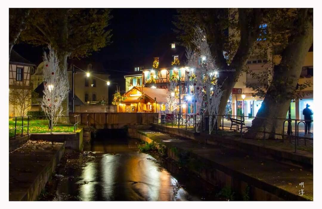 Coeur D'Alsace Colmar Vignobles Ouest Avec Terrasses Villa Wintzenheim Exteriör bild