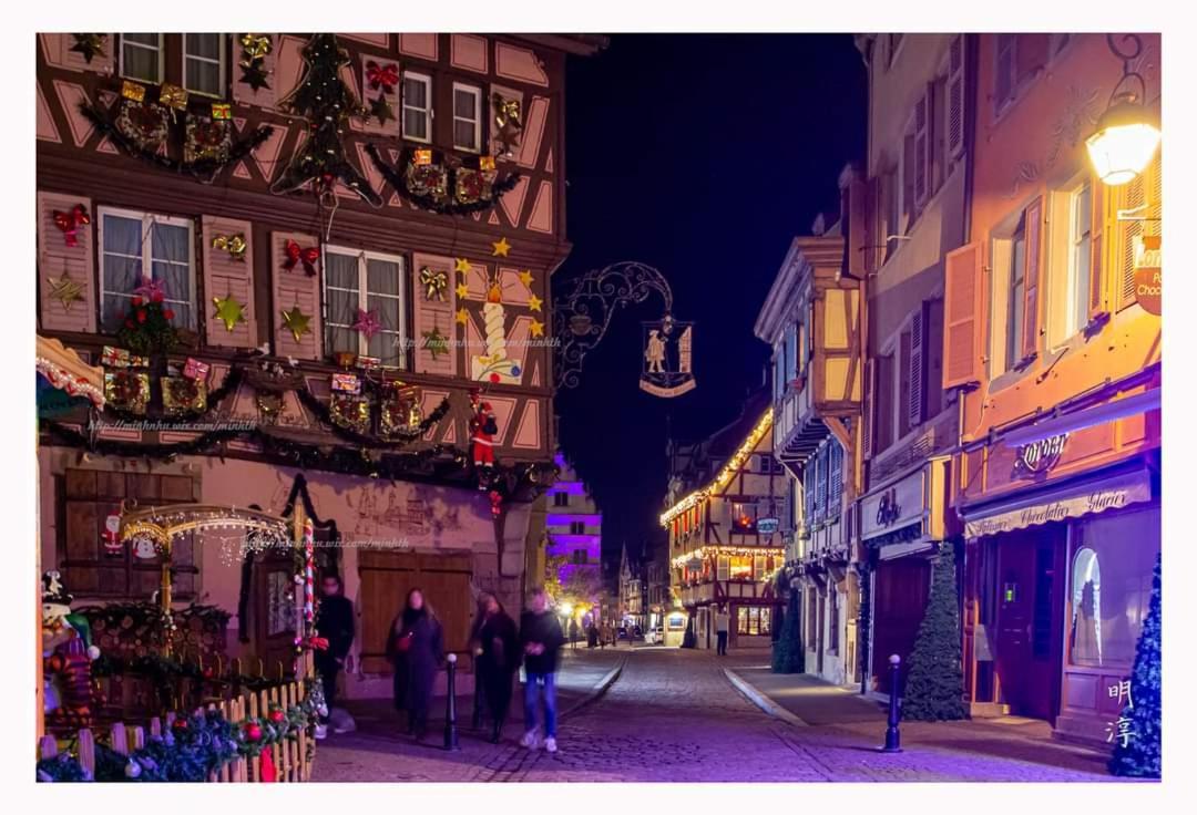 Coeur D'Alsace Colmar Vignobles Ouest Avec Terrasses Villa Wintzenheim Exteriör bild